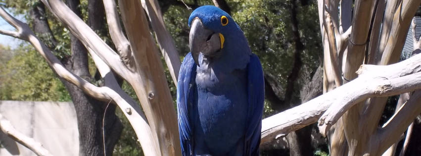 Zoo photo 1 of 40