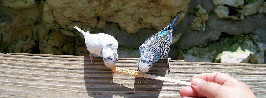 Zoo photo 10 of 40