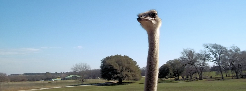Zoo photo 12 of 40