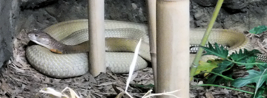 Zoo photo 13 of 40