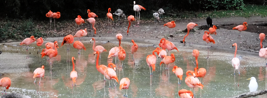 Zoo photo 15 of 40