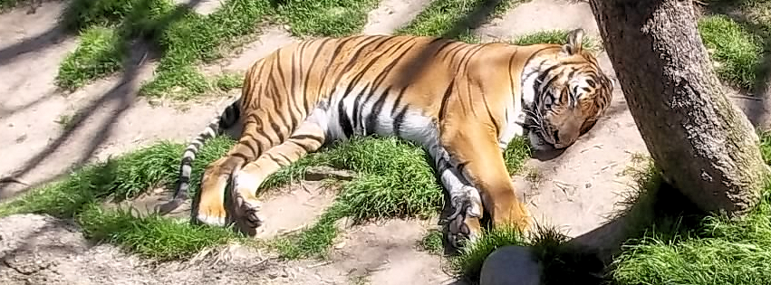 Zoo photo 17 of 40