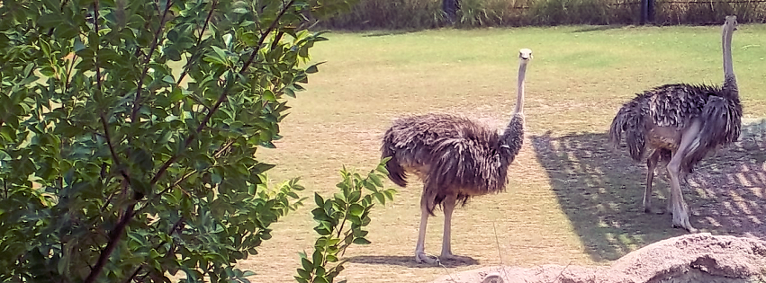 Zoo photo 18 of 40
