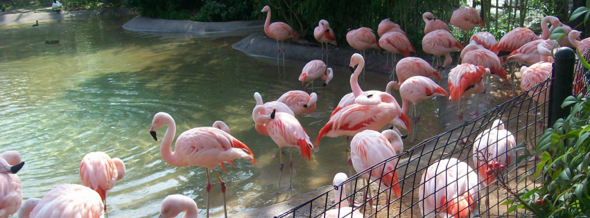 Zoo photo 2 of 40