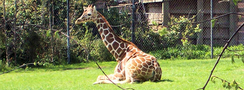 Zoo photo 26 of 40