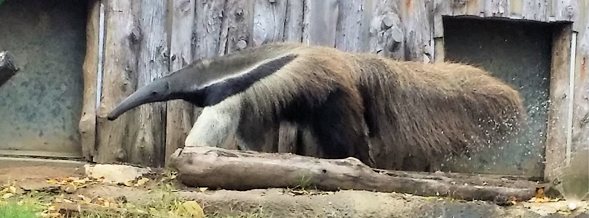Zoo photo 27 of 40