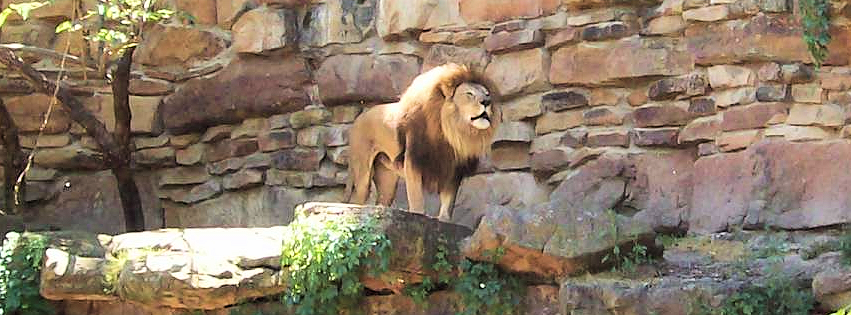 Zoo photo 29 of 40