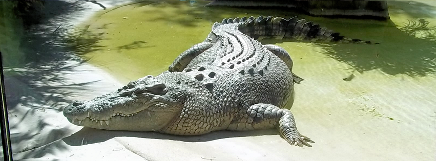 Zoo photo 3 of 40