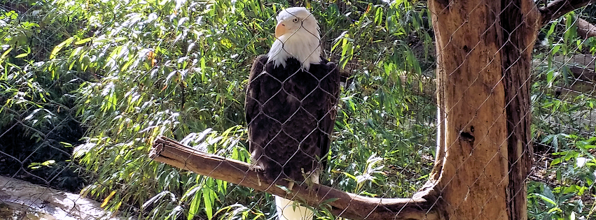 Zoo photo 30 of 40