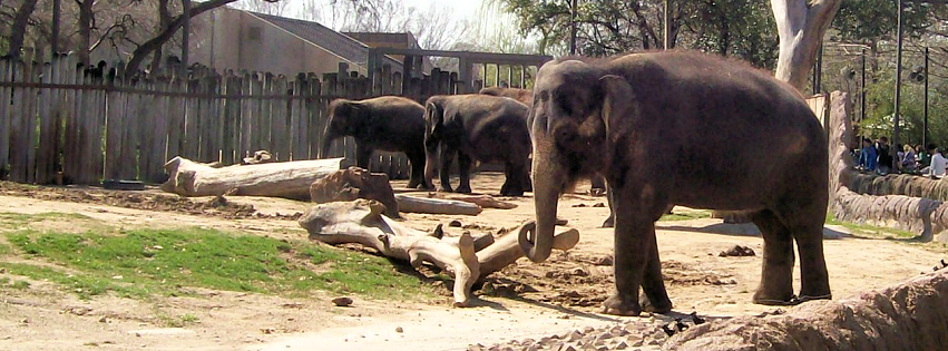 Zoo photo 31 of 40