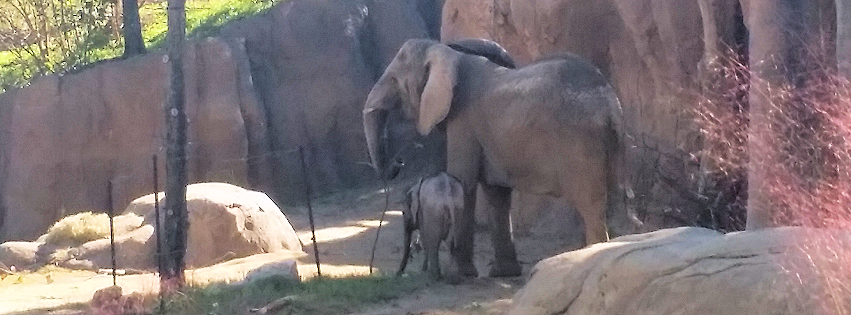 Zoo photo 32 of 40