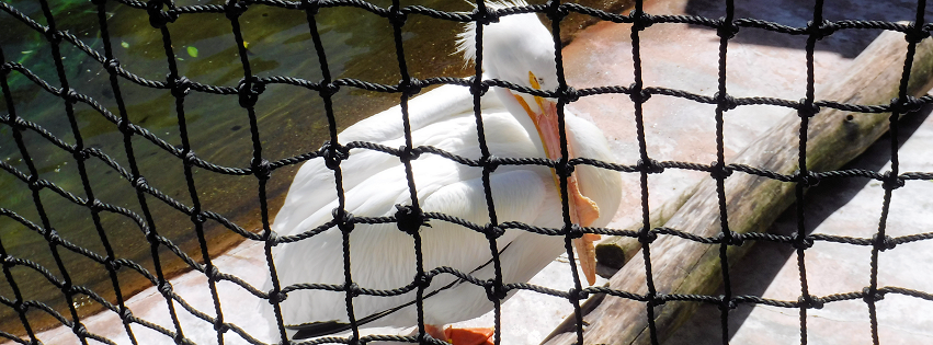 Zoo photo 35 of 40