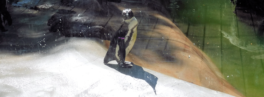 Zoo photo 36 of 40
