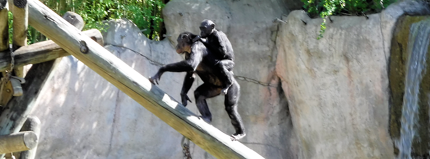Zoo photo 37 of 40