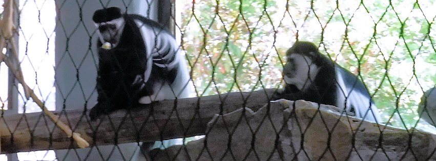 Zoo photo 38 of 40