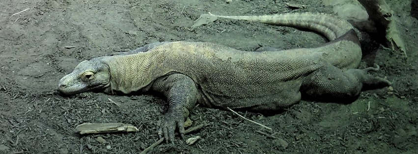 Zoo photo 39 of 40