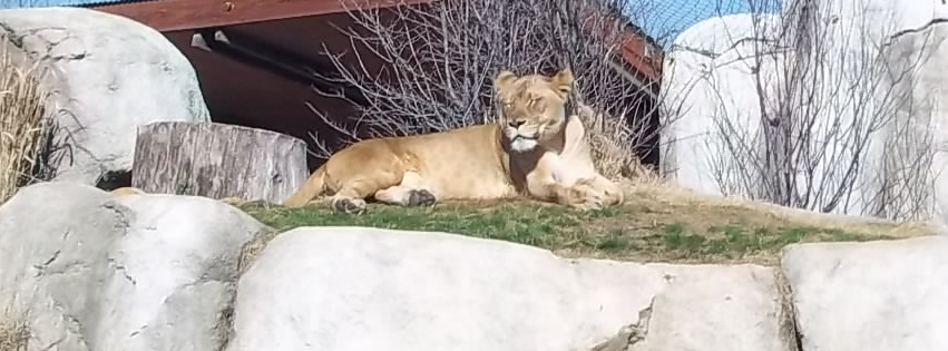 Zoo photo 4 of 40