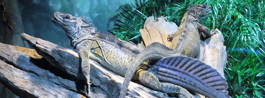 Zoo photo 40 of 40