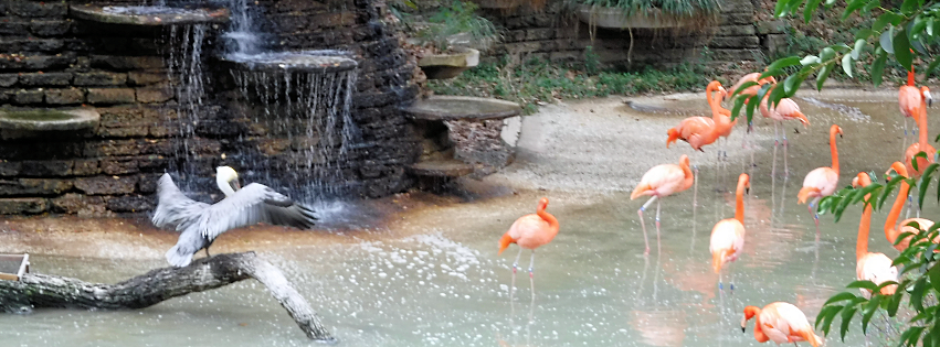 Zoo photo 6 of 40