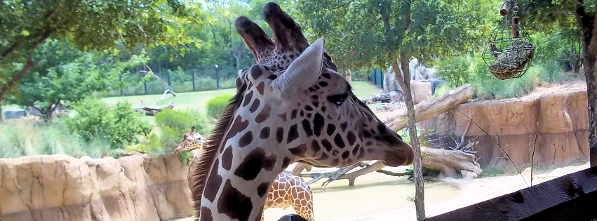 Zoo photo 7 of 40