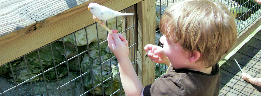 Zoo photo 9 of 40